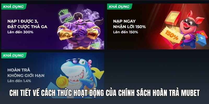 Chính Sách Hoàn Trả Mubet 3 chi-tiet-ve-cach-thuc-hoat-dong-cua-chinh-sach-hoan-tra-mubet