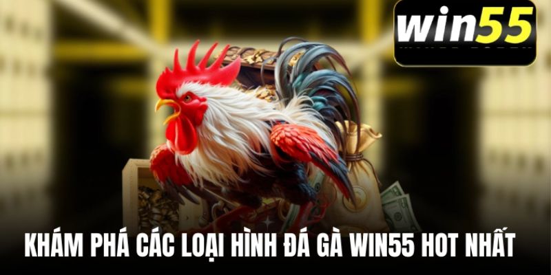 kham-pha-cac-loai-hinh-da-ga-win55